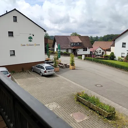 Grünvogels Landgasthof zum Grünen Baum-3